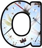 Free printable dragonflies background instant display digital lettering sets for classroom display, crafting and scrapbooking.
