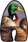 Free printable Duck background instant display digital lettering sets for classroom display.