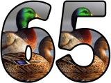 Free printable Duck background instant display digital lettering sets for classroom display.