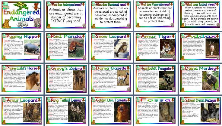 What are some resources that teach kids about endangered animals?