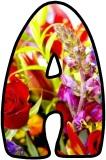 Flowers Display Letters