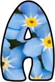 Free printable instant display lettering sets with a forget-me-not background.