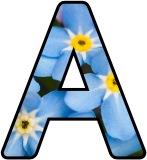 Free printable instant display lettering sets with a forget-me-not background.