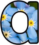 Free printable instant display lettering sets with a forget-me-not background.
