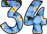 Free printable instant display lettering sets with a forget-me-not background.