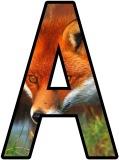 Free printable digital letters for scrapbooking or display, fox background lettering