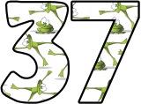 Fantastic frogs background free printable instant display lettering sets for classroom bulletin board display, scrapbooking, free digital letters