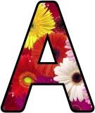 Free Gerbera Daisy flowers display lettering sets, digital letters, flower letters