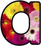 Free Gerbera Daisy flowers display lettering sets, digital letters, flower letters