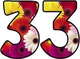Free Gerbera Daisy flowers display lettering sets, digital letters, flower letters