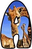 Free Giraffe  background display lettering sets