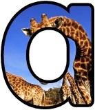 Free Giraffe  background display lettering sets