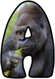 Free printable Silverback Gorilla background instant display digital letters sets for classroom display, scrapbooking and bulletin board display.