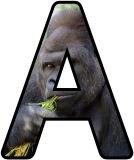 Free printable Silverback Gorilla background instant display digital letters sets for classroom display, scrapbooking and bulletin board display.