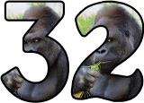 Free printable Silverback Gorilla background instant display digital letters sets for classroom display, scrapbooking and bulletin board display.