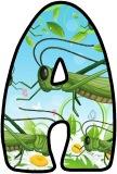 Free printable Grasshopper background instant display digital letters sets for classroom display, scrapbooking and bulletin board display.