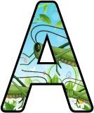 Free printable Grasshopper background instant display digital letters sets for classroom display, scrapbooking and bulletin board display.