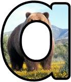 Free printable instant display lettering sets with a Grizzly Bear background.