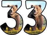Free printable instant display lettering sets with a Grizzly Bear background.