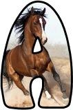 Horse background free printable instant display lettering sets for classroom bulletin board display headings.