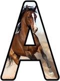 Horse background free printable instant display lettering sets for classroom bulletin board display headings.