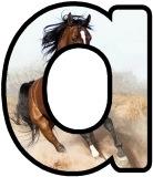 Horse background free printable instant display lettering sets for classroom bulletin board display headings.
