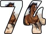 Horse background free printable instant display lettering sets for classroom bulletin board display headings.