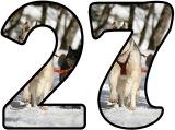 Free printable instant display digital lettering sets with a Husky dog background.