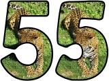 Free printable Jaguar background instant display digital letters sets for classroom display, scrapbooking and bulletin board display.