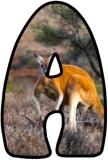 Free printable digital letters, lettering with a kangaroo theme.  Bulletin board printables for busy teachers.