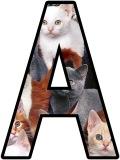 Free printable kittens background instant display lettering sets for classroom bulletin board display.