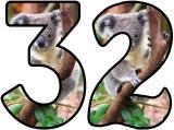 Free Koala Bear lettering sets, display letters.