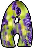 Free printable Lavender flower lettering for display