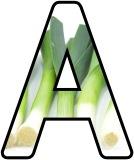 Free Leek display lettering