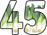 Free Leek display lettering