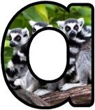 Free Lemur background display lettering sets