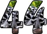 Free Lemur background display lettering sets