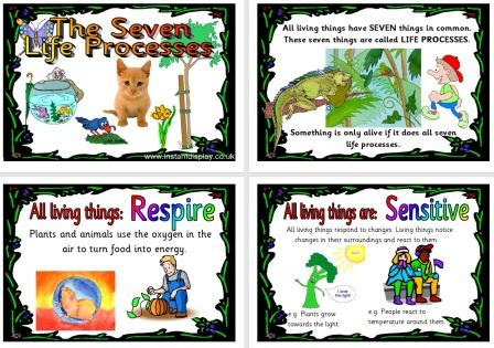 Free Printable Science Resource Seven Life Processes