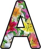 Free printable Lily flower lettering for display