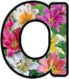 Free printable Lily flower lettering for display