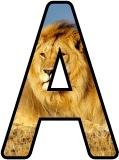 Free printable lion background instant display digital lettering sets for classroom display.