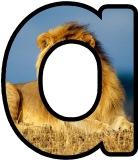 Free printable lion background instant display digital lettering sets for classroom display. Free display lettering.