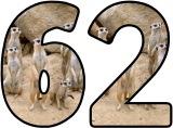 Free printable Meerkat background instant display digital lettering sets for classroom display.