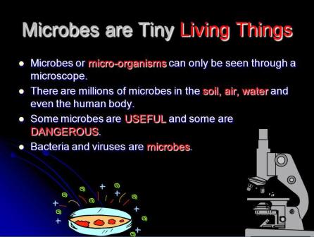 Microbes and Microorganisms PowerPoint Presentation