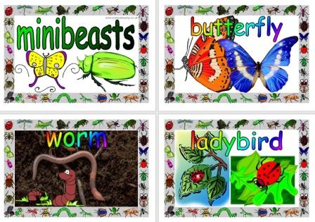 Free Simple Minibeasts Posters