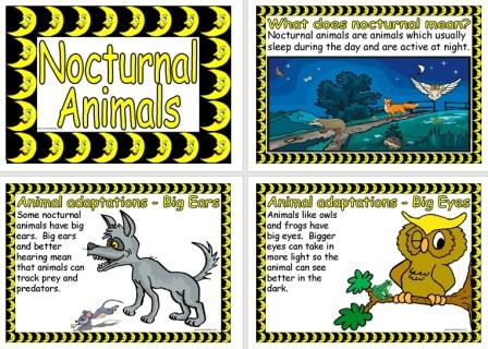 Free Printable Nocturnal Animals Posters