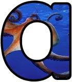 Free octopus lettering sets for classroom display