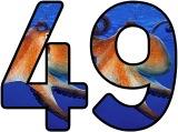 Free octopus lettering sets for classroom display