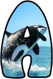 Free printable Orca, Killer Whale background instant display digital lettering sets.