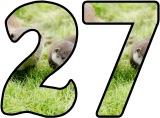 Free printable lettering sets for classroom bulletin display featuring a pair of otters for the background.